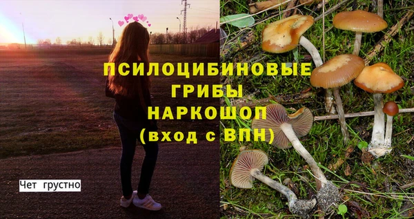 кристаллы Богородицк