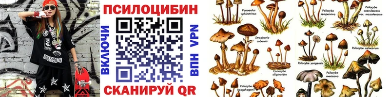наркошоп  Сосногорск  Псилоцибиновые грибы Psilocybine cubensis 
